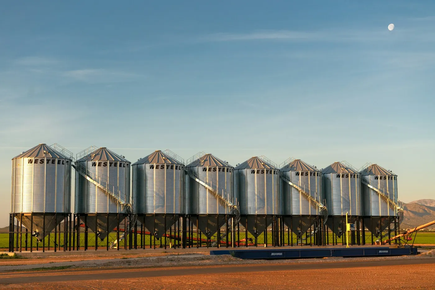 Row of steel grain silos with hoppers, at sunset.